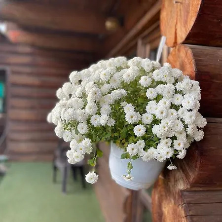 Casanoah Holiday home *